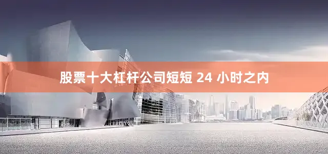 股票十大杠杆公司短短 24 小时之内
