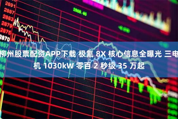 柳州股票配资APP下载 极氪 8X 核心信息全曝光 三电机 1030kW 零百 2 秒级 35 万起