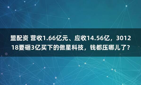 盟配资 营收1.66亿元、应收14.56亿，301218要砸3亿买下的傲星科技，钱都压哪儿了？